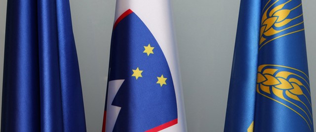 Evropska, slovenska in domžalska zastava