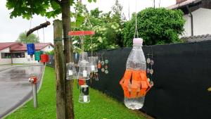 DSC005762019-05-27_10-05-28DSC00576