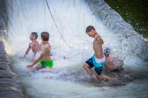 IMG_8875