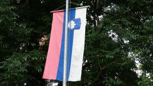 DSC066152019-07-27_19-37-25DSC06615