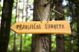 PravljicniSumberk-fotoLukaDakskobler-015