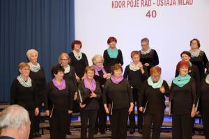 DSC_00862019-11-15_21-07-32DSC_0086