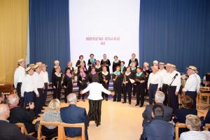 DSC_01042019-11-15_21-30-16DSC_0104