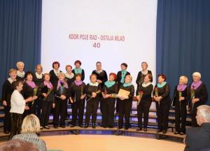 DSC_01312019-11-15_21-43-52DSC_0131