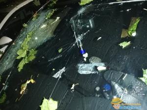 116377166_312135616639651_9135021790161364894_n