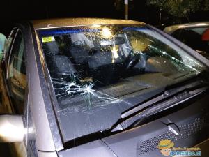 116428057_300168378004947_1353353847523642555_n