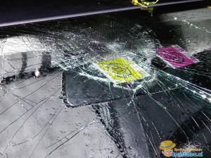 116550123_291439658583866_1886389740676777022_n