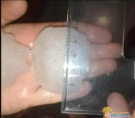 116749757_1443623249162851_6282457603861668103_n