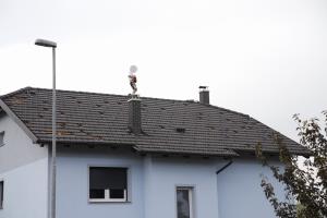 116692121_3297829583628597_6284345454194704138_n-01