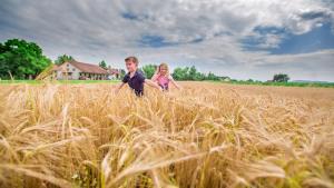 vlcsnap-2020-10-02-09h40m21s107