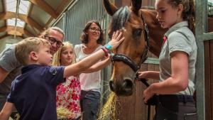 vlcsnap-2020-10-02-09h38m16s301