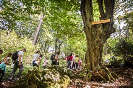 PravljicniSumberk-fotoLukaDakskobler-016