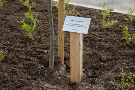 Slavnostna_povorka_800let_Dob-2