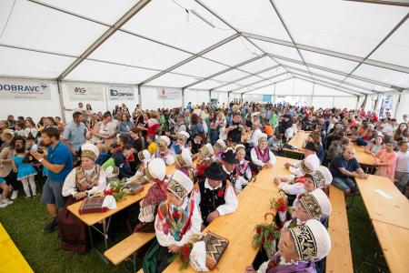 Slavnostna_povorka_800let_Dob-233