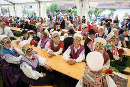 Slavnostna_povorka_800let_Dob-248