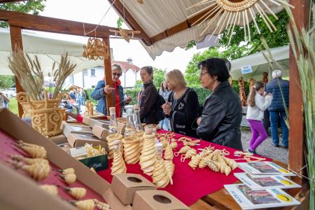 SLAMNIKARSKI_SEJEM_3JUN2023-103