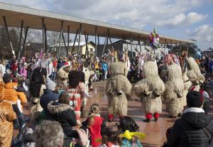 OTROŠKO PUSTNO RAJANJE V ČEŠMINOVEM PARKU