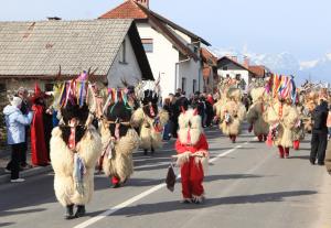 27. Pustni karneval na Viru
