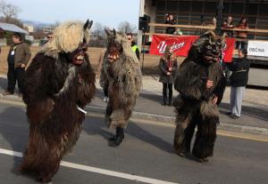 27. Pustni karneval na Viru