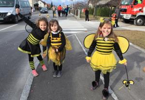 27. Pustni karneval na Viru