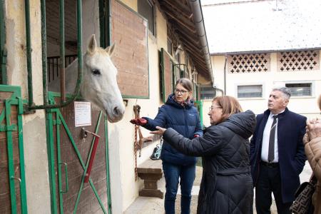 Katja Kodba/Občina Domžale