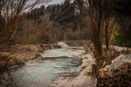 Foto: Karin Božič Zupančič/domzalec.si