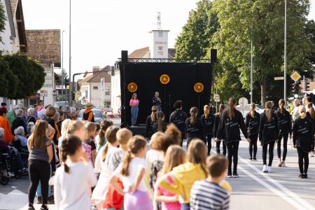 Dogodek Zeleni dan v Domžalah; foto: Jure Gubanc