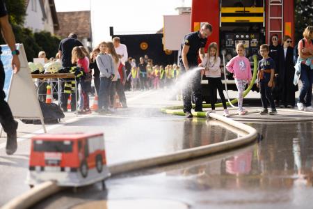 Dogodek Zeleni dan v Domžalah; foto: Jure Gubanc