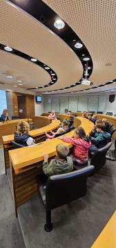 Pikapolonice so zasedale v sejni sobi Občine Domžale, foto: Občina Domžale