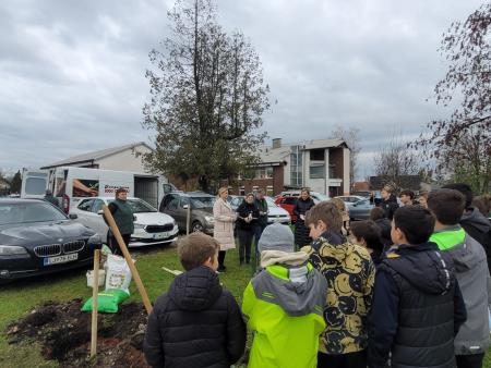 Sajenje jablan pri OŠ Rodica, foto: Občina Domžale