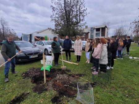 Sajenje jablan pri OŠ Rodica, foto: Občina Domžale
