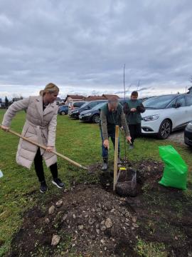 Sajenje jablan pri OŠ Rodica, foto: Občina Domžale