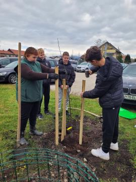 Sajenje jablan pri OŠ Rodica, foto: Občina Domžale