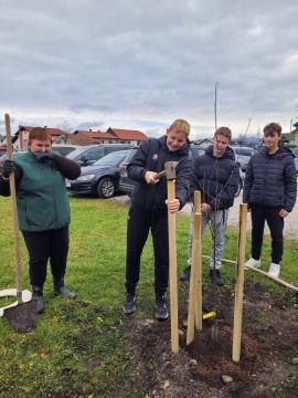 Sajenje jablan pri OŠ Rodica, foto: Občina Domžale