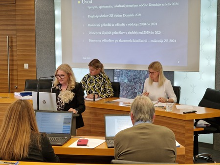 20. seja Občinskega sveta Občine Domžale