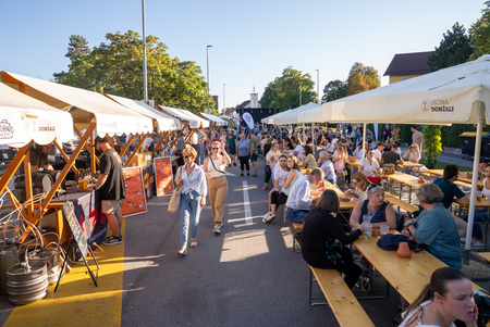 Zeleni dan v Domžalah