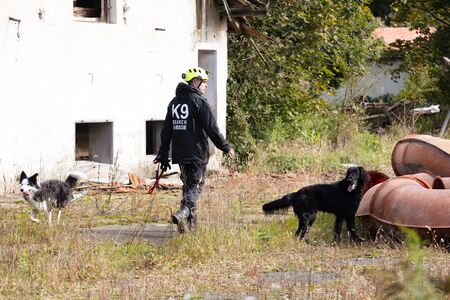 Mednarodno tekmovanje ekip reševalnih psov; foto: Civilna zaščita Domžale