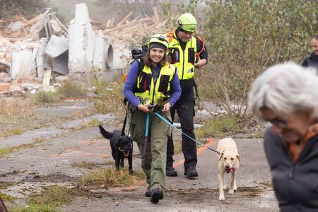 Mednarodno tekmovanje ekip reševalnih psov; foto: Civilna zaščita Domžale