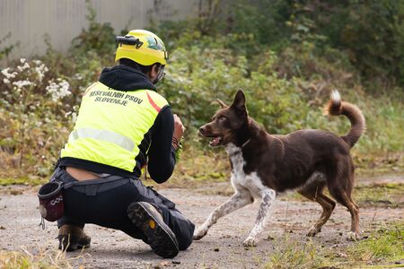 Mednarodno tekmovanje ekip reševalnih psov; foto: Civilna zaščita Domžale