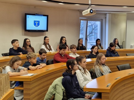 Državljanska kultura