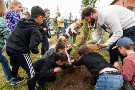 Projekt Sejemo sončno prihodnost tudi v Domžalah; foto Eva Žurbi-20