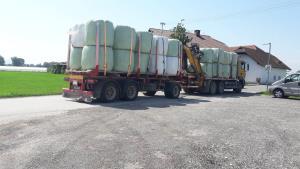 38875514_1789226977858146_7927264787979829248_n